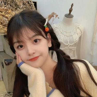特务乌龙王